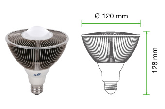 PAR38 投射燈 (IP68)